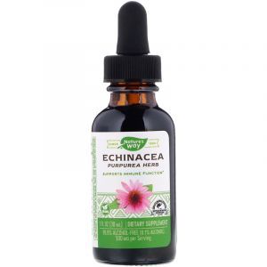 Эхинацея без спирта (Echinacea), Nature's Way, 99.9%, 30 мл. (Default)