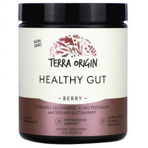 Здоровый кишечник, Healthy Gut, Terra Origin, вкус ягод, 243 г